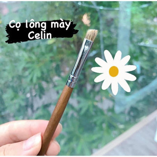 Tổng hợp cọ lẻ mắt Celin