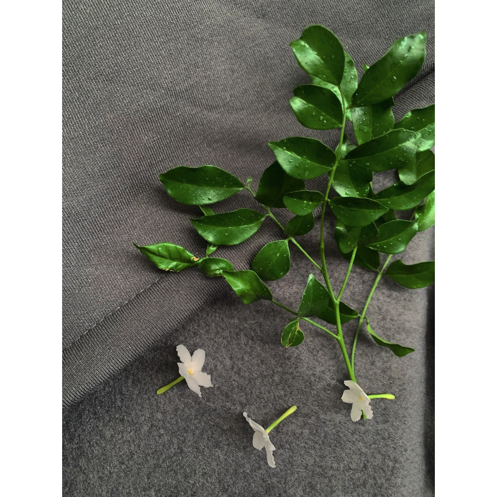 Áo Hoodie Zip Boxy GOPYA Local Brand Unisex Nỉ Ngoại 3 Màu,Form Croptop Nam Nữ Basic- HOODIE ZIPK