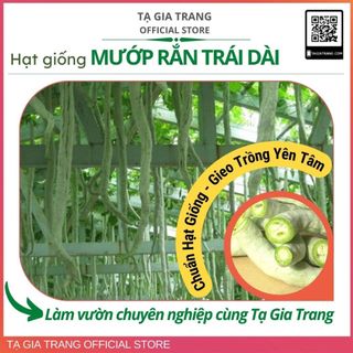 Hạt giống mướp rắn quả dài vỏ trắng chuẩn F1