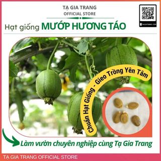 Hạt giống mướp táo F1