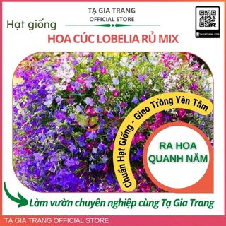 Hạt giống Hoa Cúc Lobelia Rủ Mix màu (hoa thúy điệp)