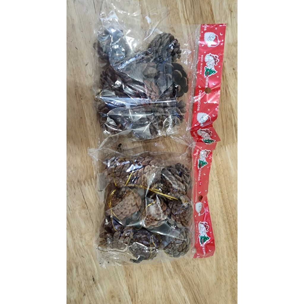 Quả thông trang trí cây thông Noel -trái thông khô trang trí cây Giáng Sinh loại đẹp