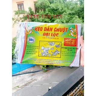 2 miếng keo dán chuột Đại Lộc