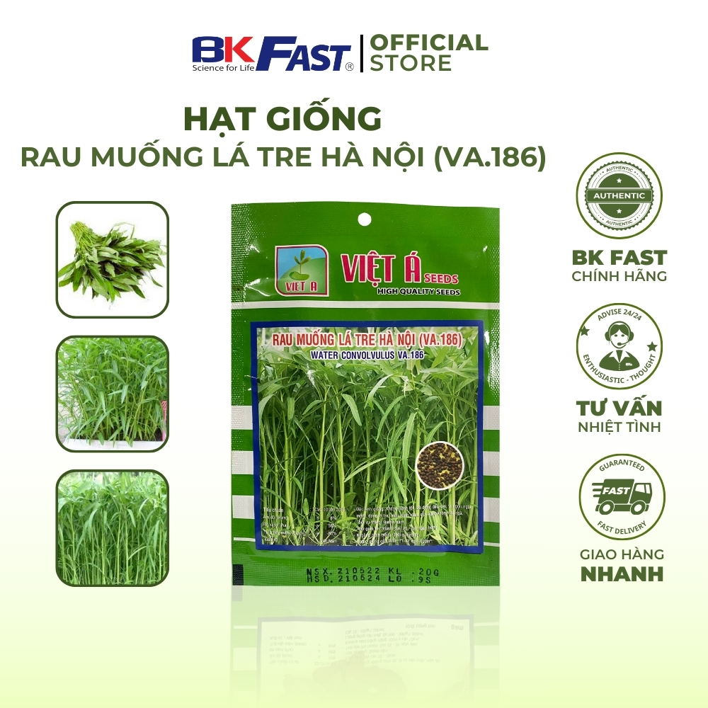 Hạt Giống Rau Muống Lá Tre Hà Nội