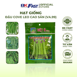 Hạt Giống Đậu Cove Leo Hạt Trắng, quả dài, siêu trái, mềm, ngọt, ít xơ - BKFAST