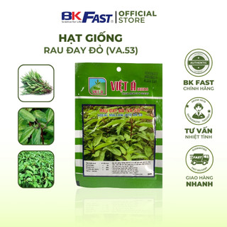 Hạt Giống Rau Đay Đỏ mềm ngọt, giàu dinh dưỡng, kháng bệnh tốt - BKFAST