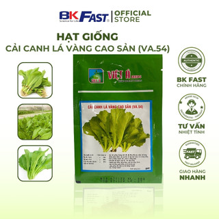 Hạt Giống Cải Canh Lá Vàng Cao Sản BKFAST Kháng Bệnh Tốt Vị Cay Thơm Nồng Chậm Trổ Bông