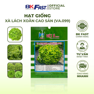 Hạt Giống Xà Lách Xoăn Cao Sản BKFAST Kháng Sâu Bệnh Thích Nghi Mọi Môi Trường Giàu Dinh Dưỡng