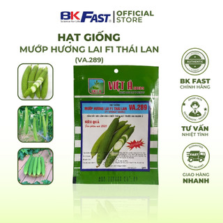 Hạt Giống Mướp Hương Lai F1, kháng bệnh tốt, sai trái, ít hạt, ăn ngọt, mùi thơm đặc trưng - BKFAST