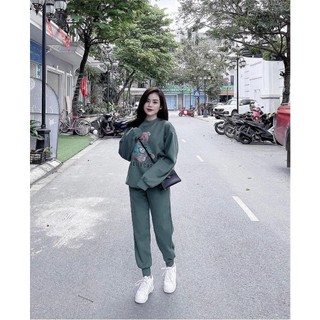 Áo hàng si tuyển chọn