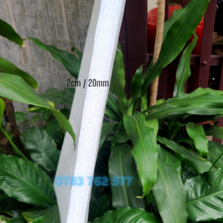 Tấm mút xốp pe foam dày 20mm/ 2cm khổ 50cmx50cm