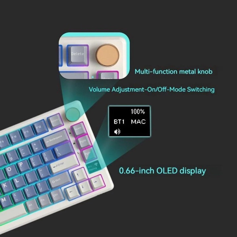 RK S75 - Bàn phím cơ RK S75 có Núm, hỗ trợ Hotswap, 3 Modes, Full Foam, Gasket Mount, Màn Hình Led