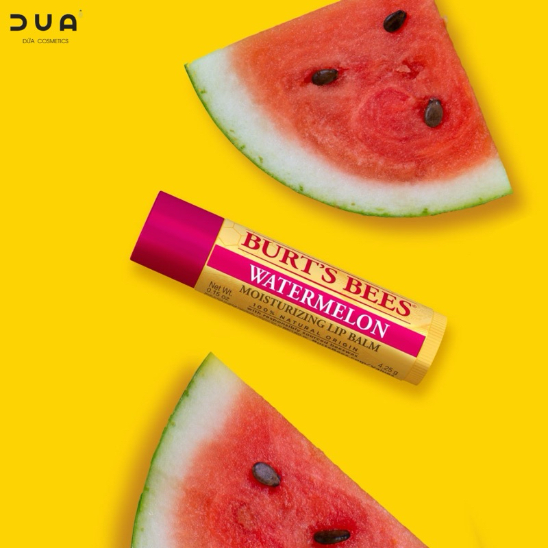 Son dưỡng Burt’s Bees Moisturizing Lip Balm