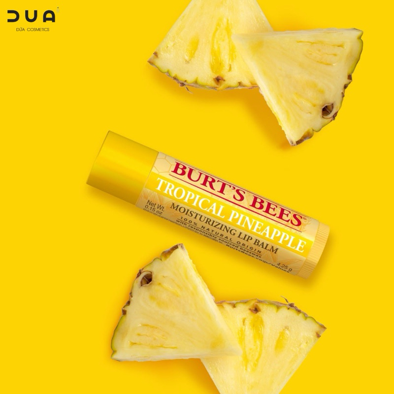 Son dưỡng Burt’s Bees Moisturizing Lip Balm
