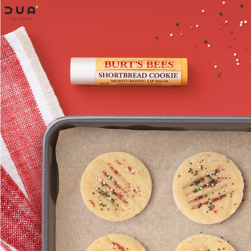 Son dưỡng Burt’s Bees Moisturizing Lip Balm