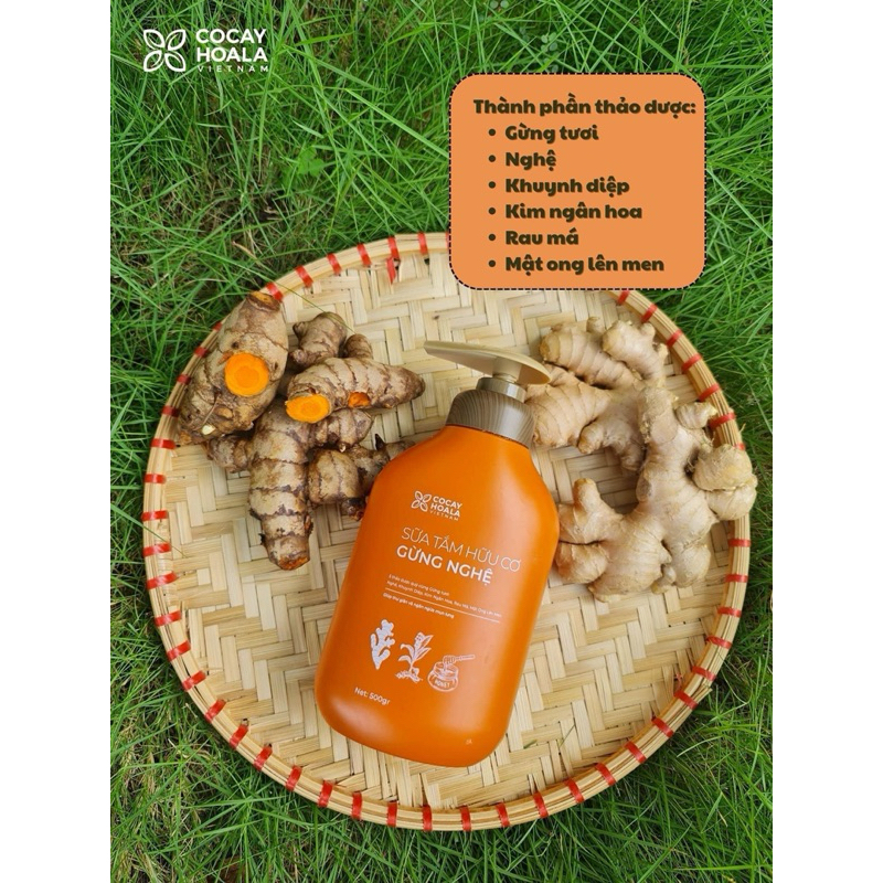 Sữa Tắm Gừng Nghệ. chai 500g. Mẫu mới.
