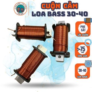 Cuộn cảm cho Phân tần Loa Bass Lớn - Sub