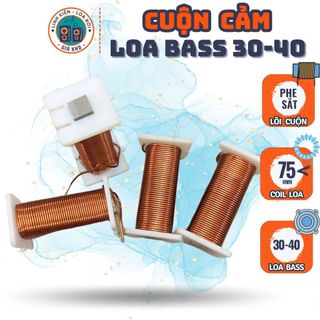 Cuộn cảm cho Phân tần Loa Bass Lớn - Sub
