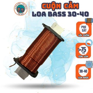 Cuộn cảm cho Phân tần Loa Bass Lớn - Sub