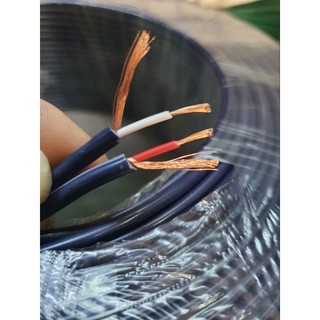 Dây tín hiệu AV đôi 2 lõi đồng