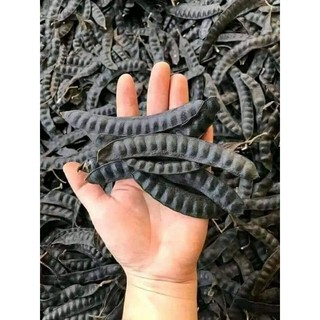 Bồ Kết Chín Cây Gội Đầu 500g