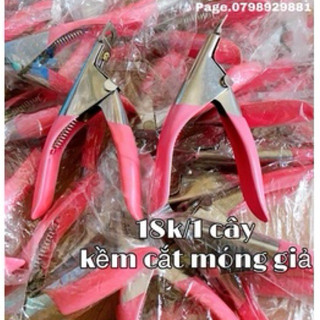 kềm cắt móng giả 18/1 cây