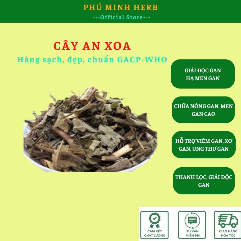 1kg An xoa Hải Khánh hoa tím mát gan giải nhiệt hạ men gan xơ gan -Phu Minh Herb Store