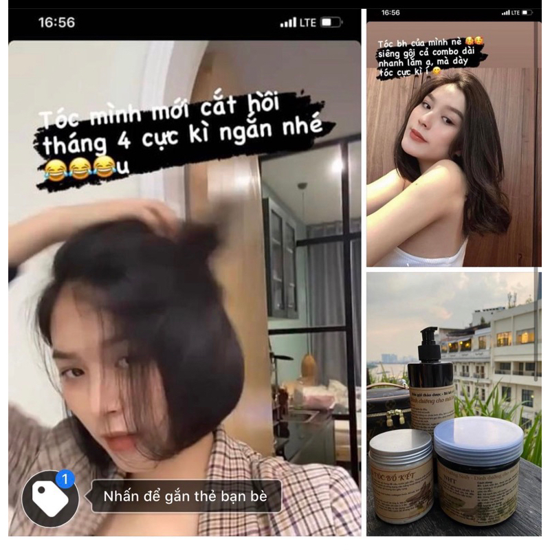 Dầu Gội Bồ Kết