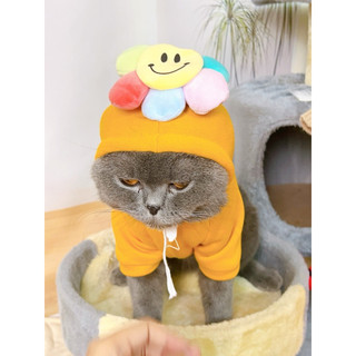 Áo nỉ hoodie Thú Cưng cho Chó và Mèo xinh xỉu
