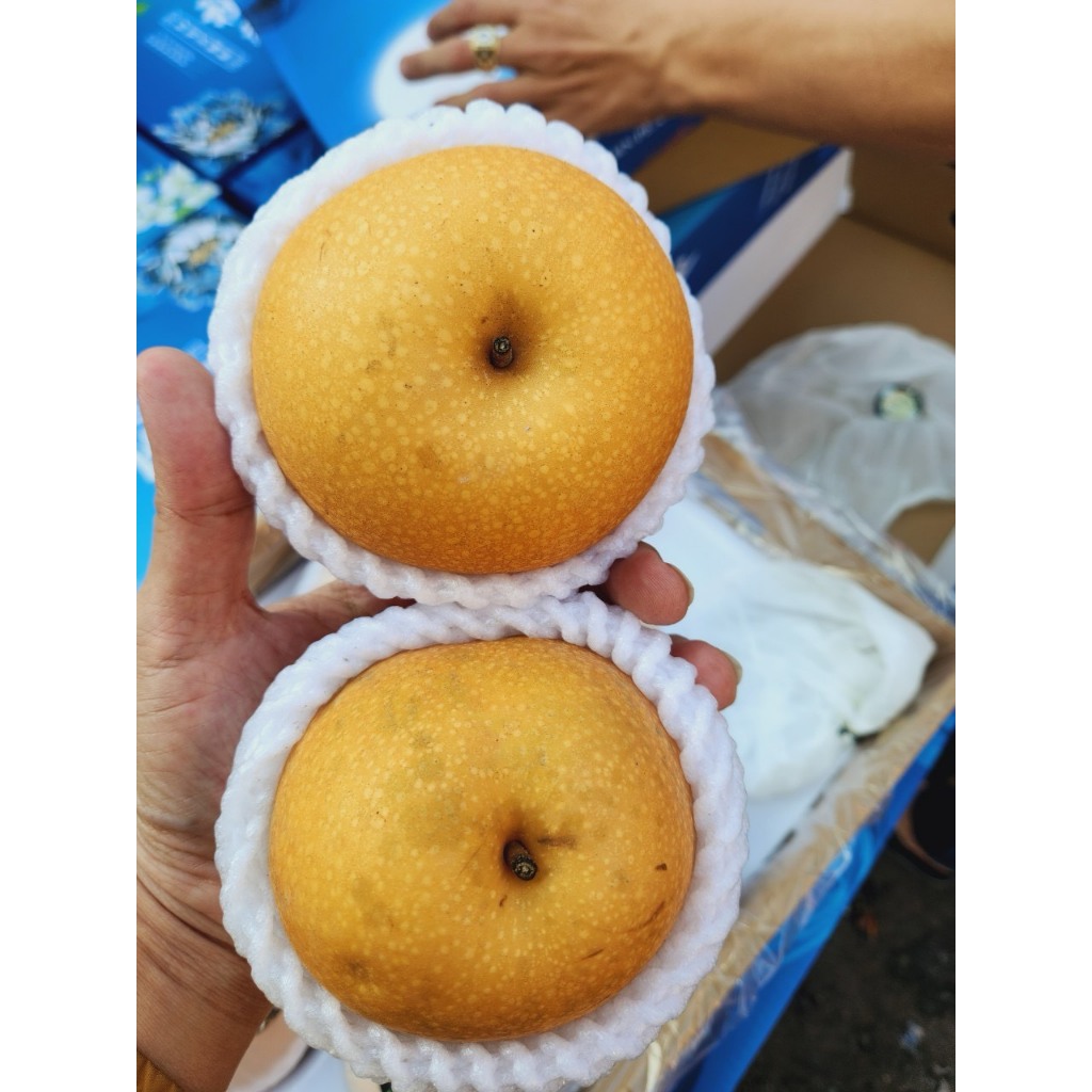 1 Thùng Lê Nâu giòn ngọt 3,9kg cả thùng.