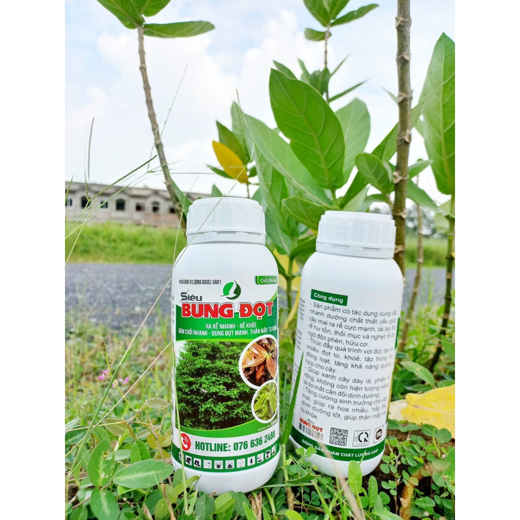 SIÊU BUNG ĐỌT, RA RỄ MAI VÀNG 500ML
