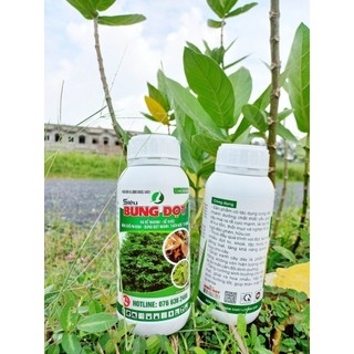 Siêu bung đọt, ra rễ mai vàng 500ml