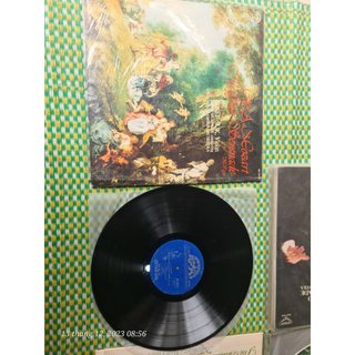 Đĩa than vinyl nhạc Pop Rock