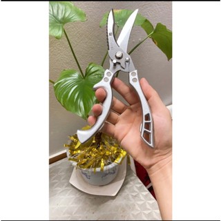 Kéo cắt gà vịt zwilling