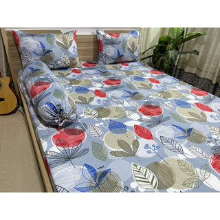 bộ ga gối thun lạnh hàn quốc-drap thun hàn (bộ 4 món)