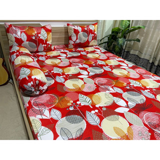 bộ ga gối thun lạnh hàn quốc-drap thun hàn (bộ 4 món)