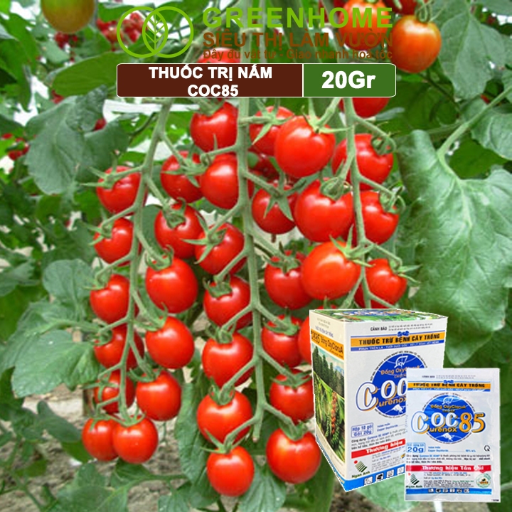 Thuốc Trị Nấm Cây Trồng Greenhome, Coc85 Wp, Gói 20gr, Trừ Đốm Lá Cho Hoa Hồng, Nấm Trên Kiểng Lá, Cây Cảnh, Cây Ăn Quả