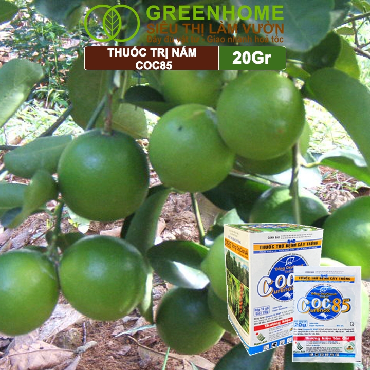 Thuốc Trị Nấm Cây Trồng Greenhome, Coc85 Wp, Gói 20gr, Trừ Đốm Lá Cho Hoa Hồng, Nấm Trên Kiểng Lá, Cây Cảnh, Cây Ăn Quả