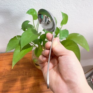 Muôi canh inox 304 Zwilling