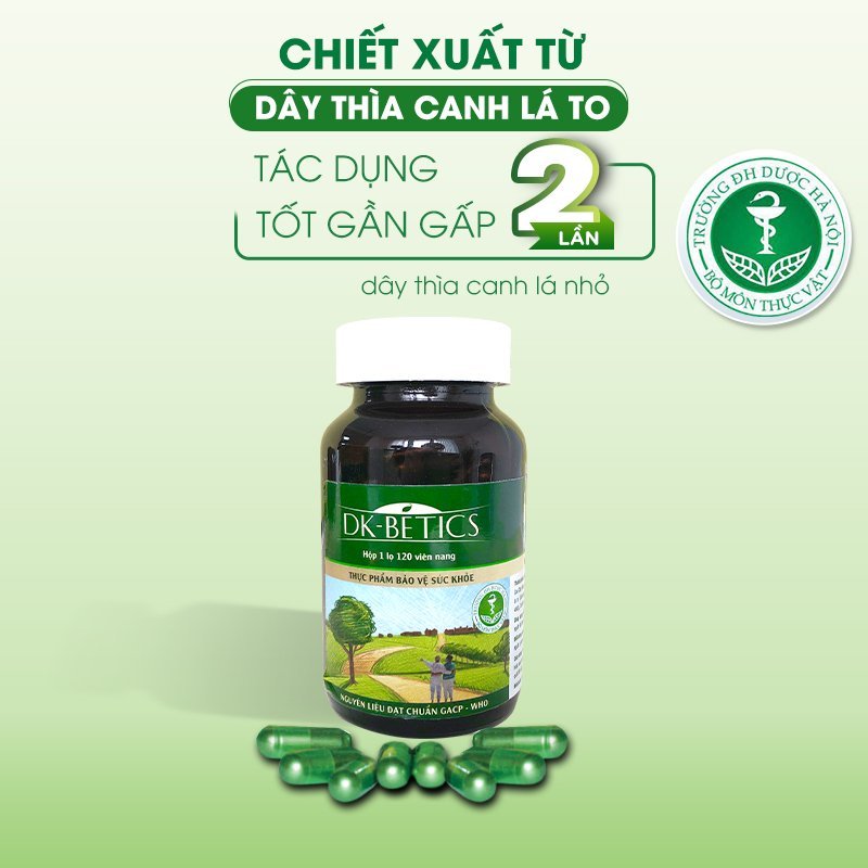 COMBO 5 hộp Viên tiểu đường dây thìa canh lá to DK Pharma DK Betics, Hỗ trợ hạ và ổn định đường huyết - Hộp lớn 120 viên