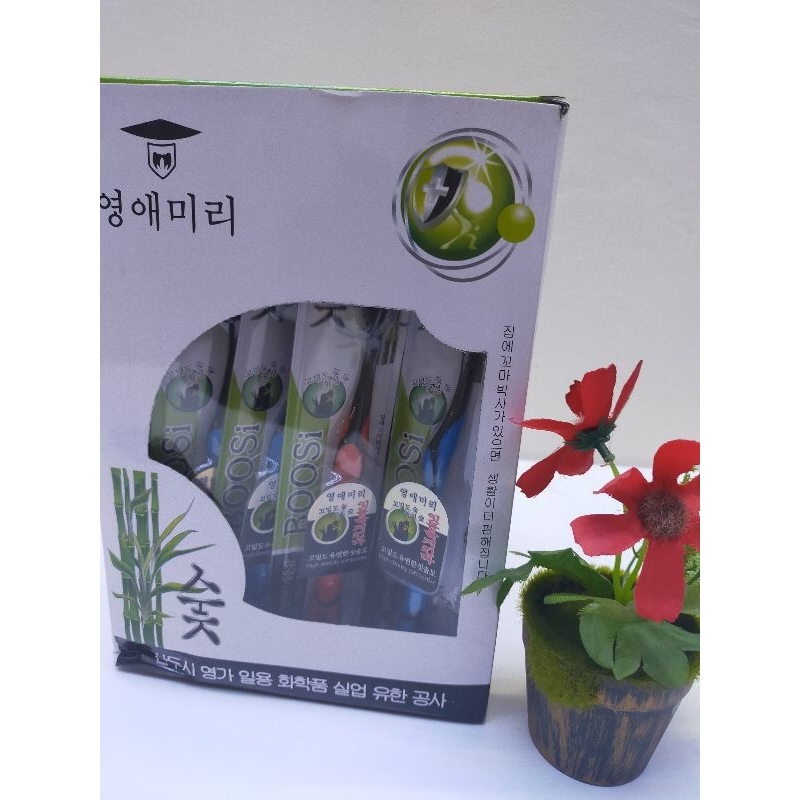 Combo Hộp 30 cái bàn chải đánh răng than tre Hàn Quốc