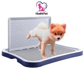 Khay vệ sinh cho chó lớn Hoshi Pet KC02 hướng dẫn chó đi vệ sinh