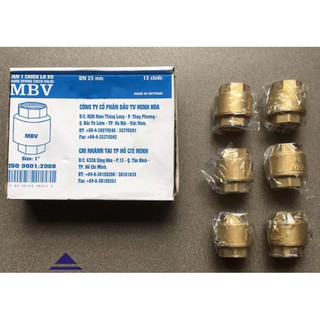 Van 1 chiều đồng lò xo minh hoà mbv