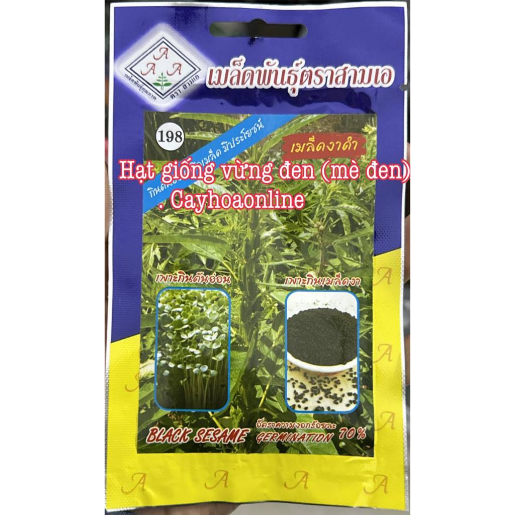 Hạt giống mè đen (vừng đen) nhập Thái Lan (black sesame)