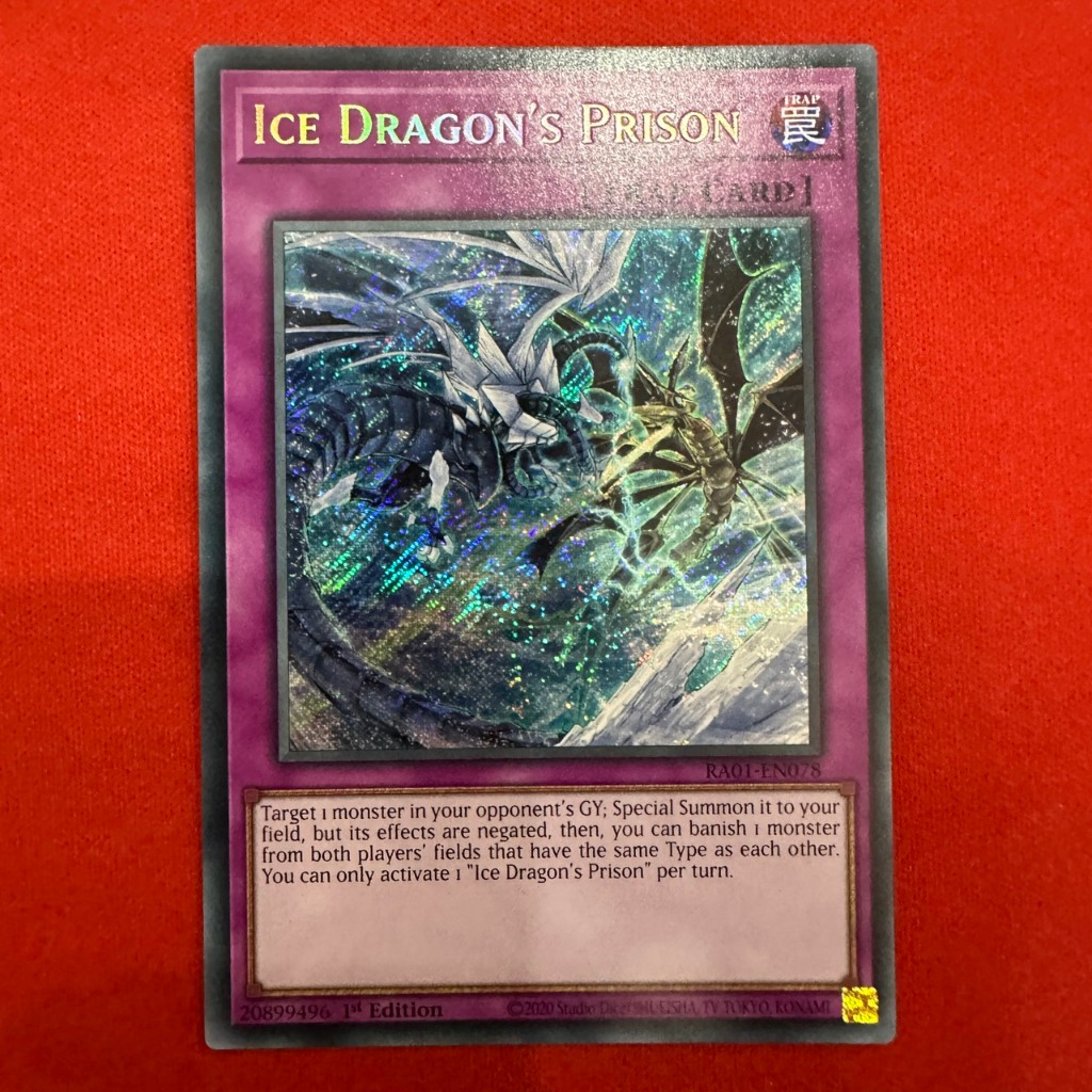 Ice Dragon's Prison
