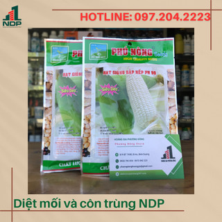 Hạt giống bắp nếp nù 100g
