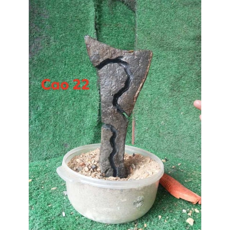 Đá ghép cây bonsai, đá làm tiểu cảnh, đá tai mèo