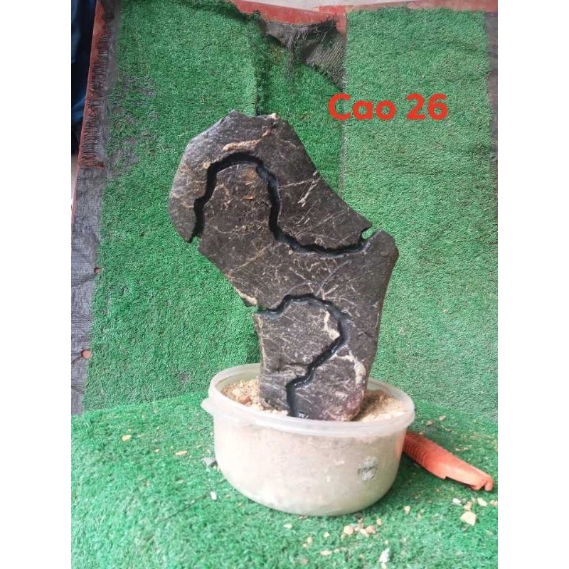 Đá ghép cây bonsai, đá làm tiểu cảnh, đá tai mèo