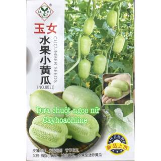 Hạt giống dưa chuột ngọc nữ tự thụ phấn gói 8-10 hạt