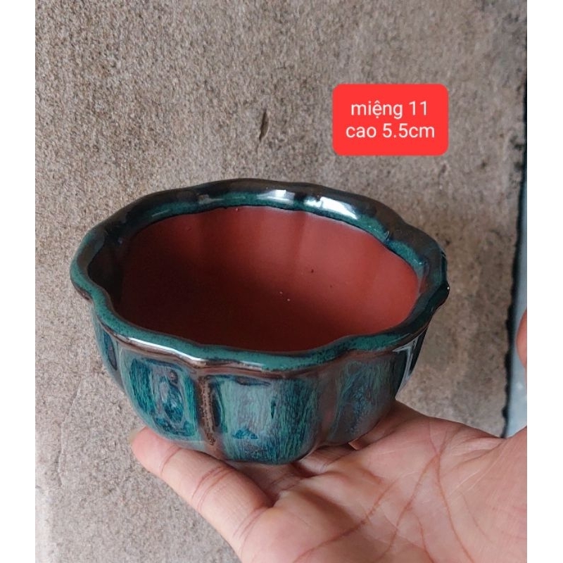 chậu bát hoa men hoả biến trồng cây mini sen đá